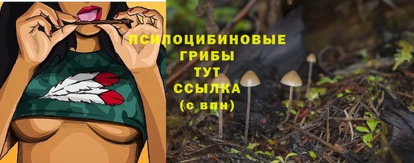 прущий лед Анива